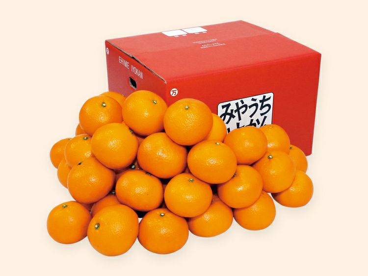 宮内いよかん約9kg-家庭用 | のま果樹園