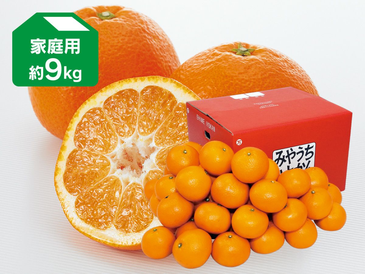 八朔(はっさく)約7kg-家庭用 | のま果樹園