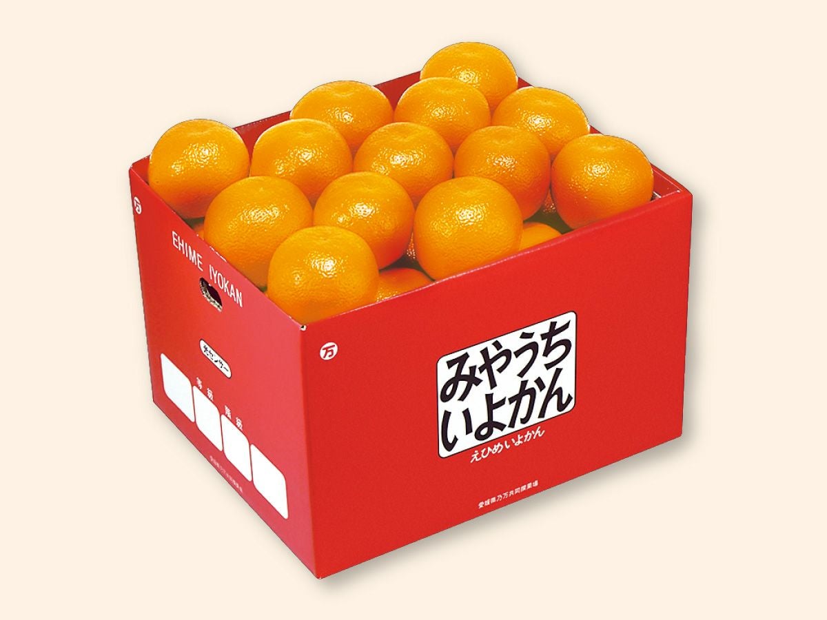 宮内いよかん約9kg-贈答用 | のま果樹園