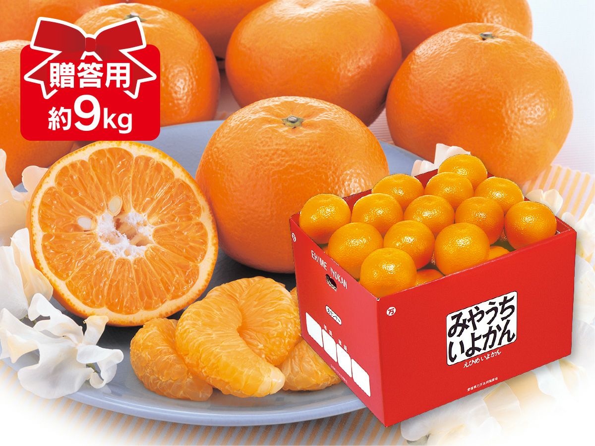 極早生みかん約2kg-家庭用 | のま果樹園