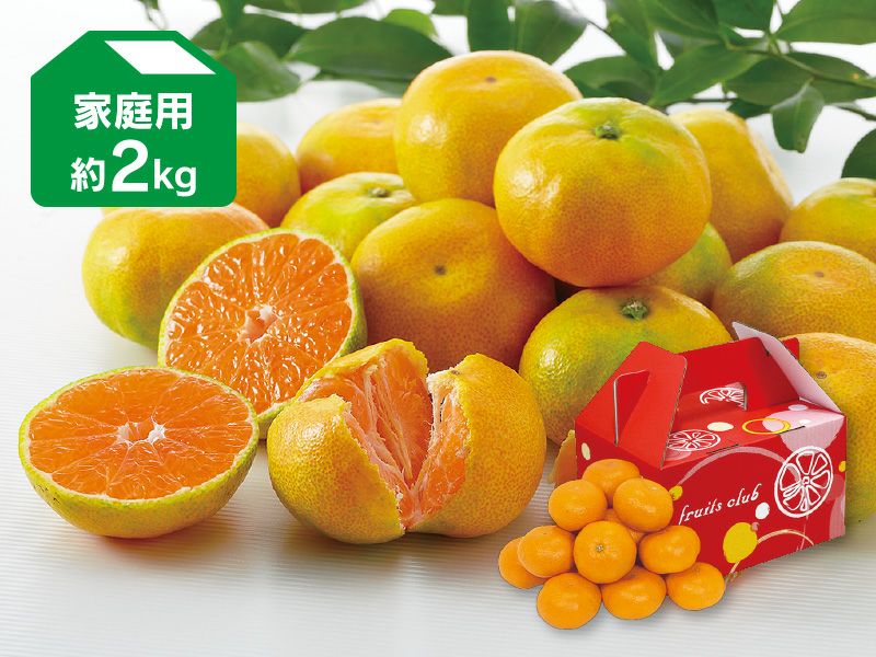 極早生みかん約2kg-家庭用 | のま果樹園
