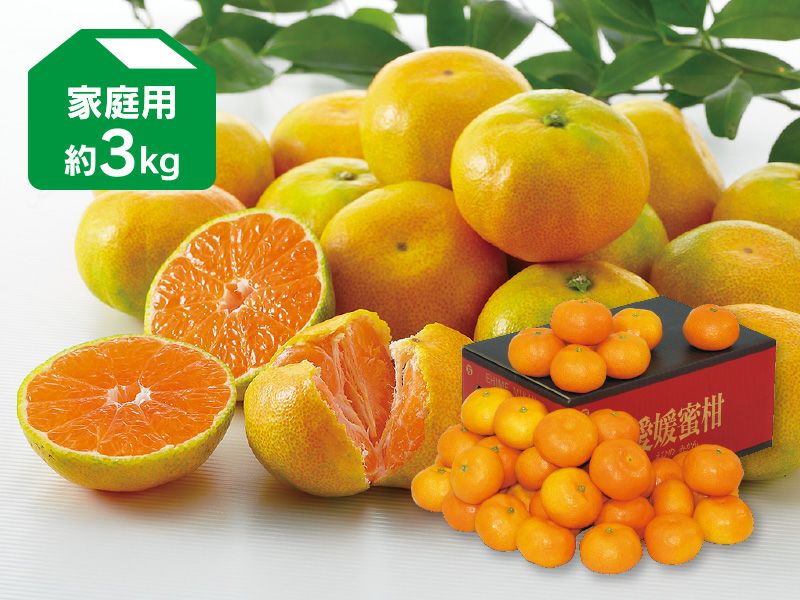 極早生みかん約3kg-家庭用 | のま果樹園