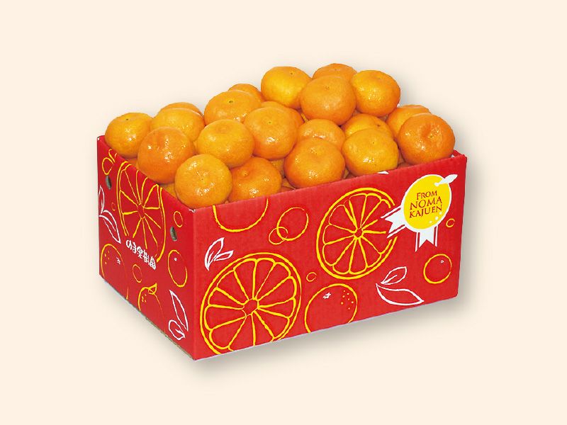 極早生みかん約5kg-小粒っ子 | のま果樹園