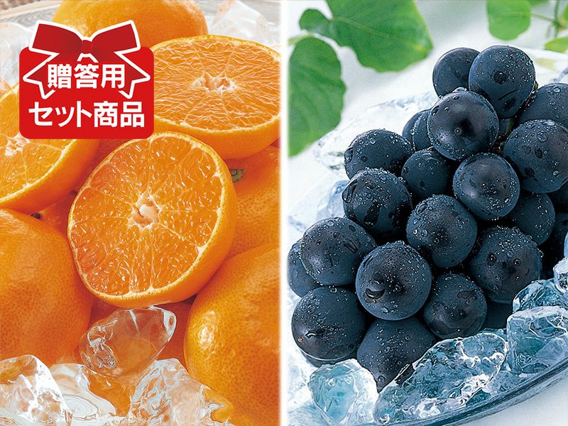 露地せとか約2kg-家庭用 | のま果樹園