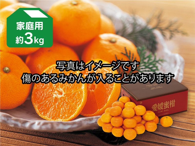 みかんページ 青島みかん 10kg / みかん ミカン 佐瀬みかん 伊木力みかん 濃い 温州