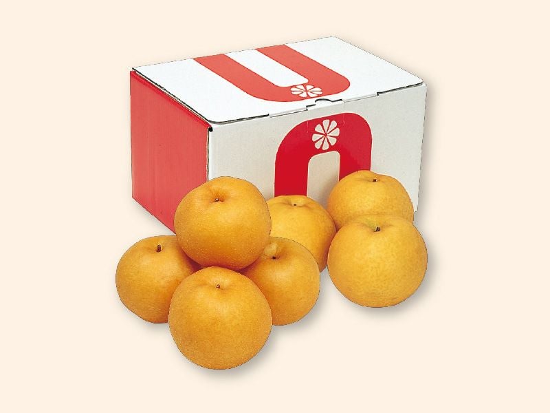 新高梨 約4kg 贈答用 | のま果樹園