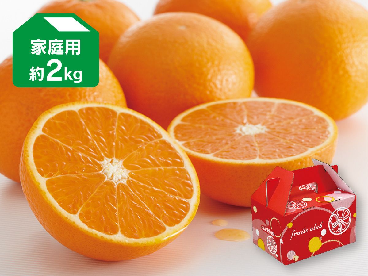 清見タンゴール約2kg-家庭用 | のま果樹園
