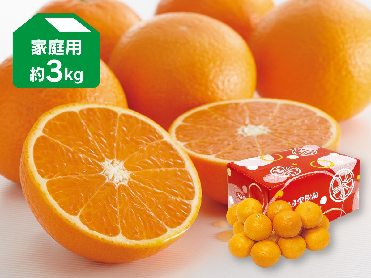 湘南ゴールド３kg＆清見オレンジ２kg 2026年』 【希少】湘南ゴールド(ハウス栽培) B品家庭用混合サイズ S