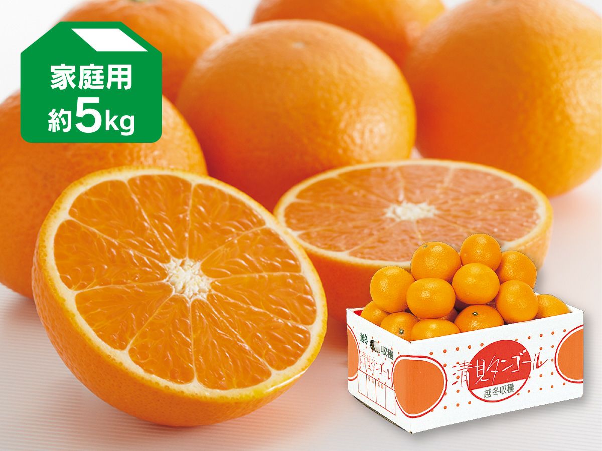 露地せとか約5kg-家庭用 | のま果樹園