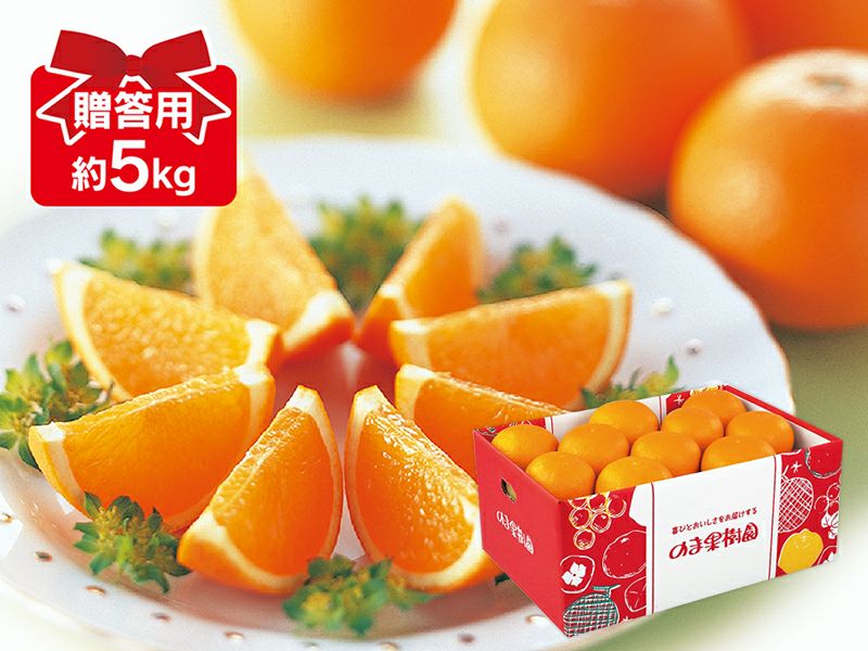 清見タンゴール約3.5kg-贈答用 | のま果樹園