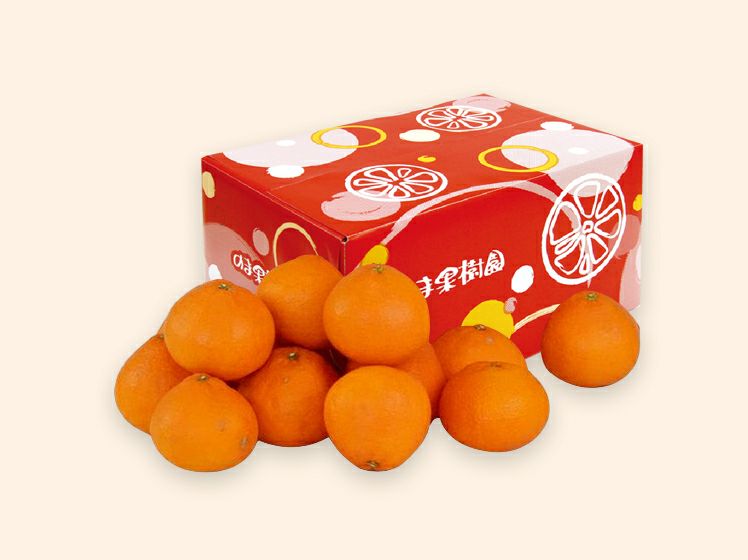 西之香 約3kg | のま果樹園