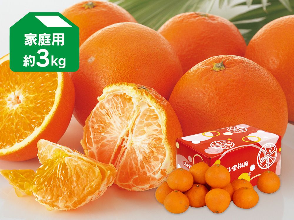 西之香 約3kg | のま果樹園