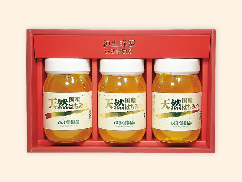 天然蜂蜜(はちみつ)600g×3本 | のま果樹園