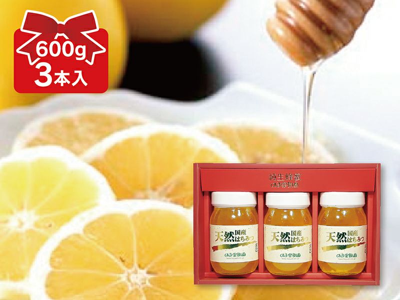 天然蜂蜜(はちみつ)600g×3本 レビュー | のま果樹園