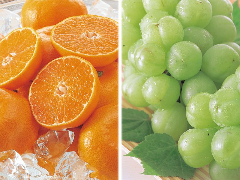 瀬戸ジャイアンツ（桃太郎ぶどう）とハウスみかんのセット | のま果樹園