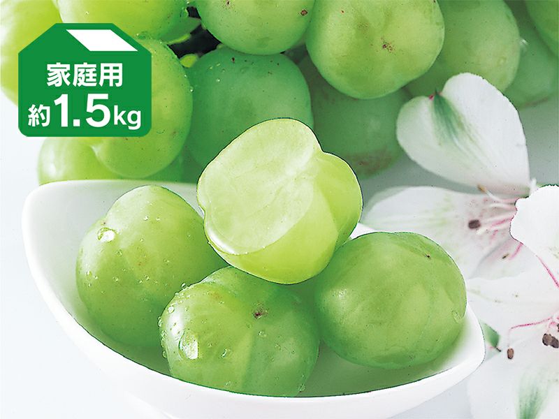 瀬戸ジャイアンツ(桃太郎ぶどう) | のま果樹園