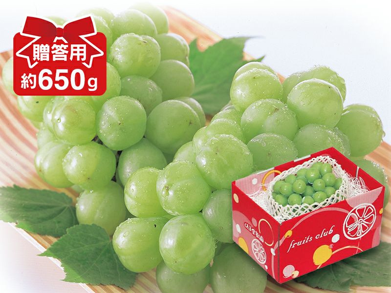 瀬戸ジャイアンツ（桃太郎ぶどう）約650g（1～2房）贈答用 | のま果樹園