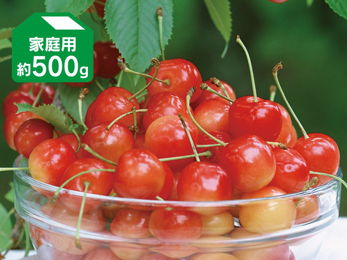 000000000582-04.jpg?size=l&w=