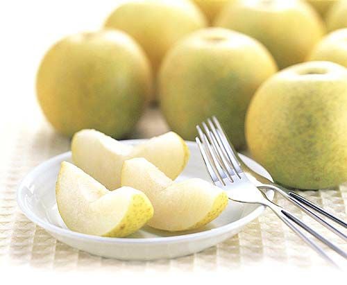 二十世紀梨 約2kg | のま果樹園