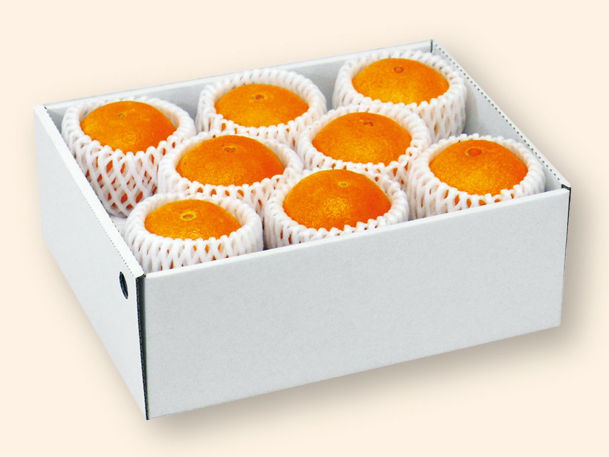 媛まどんな Aセット（5～8個前後）-贈答用 | のま果樹園