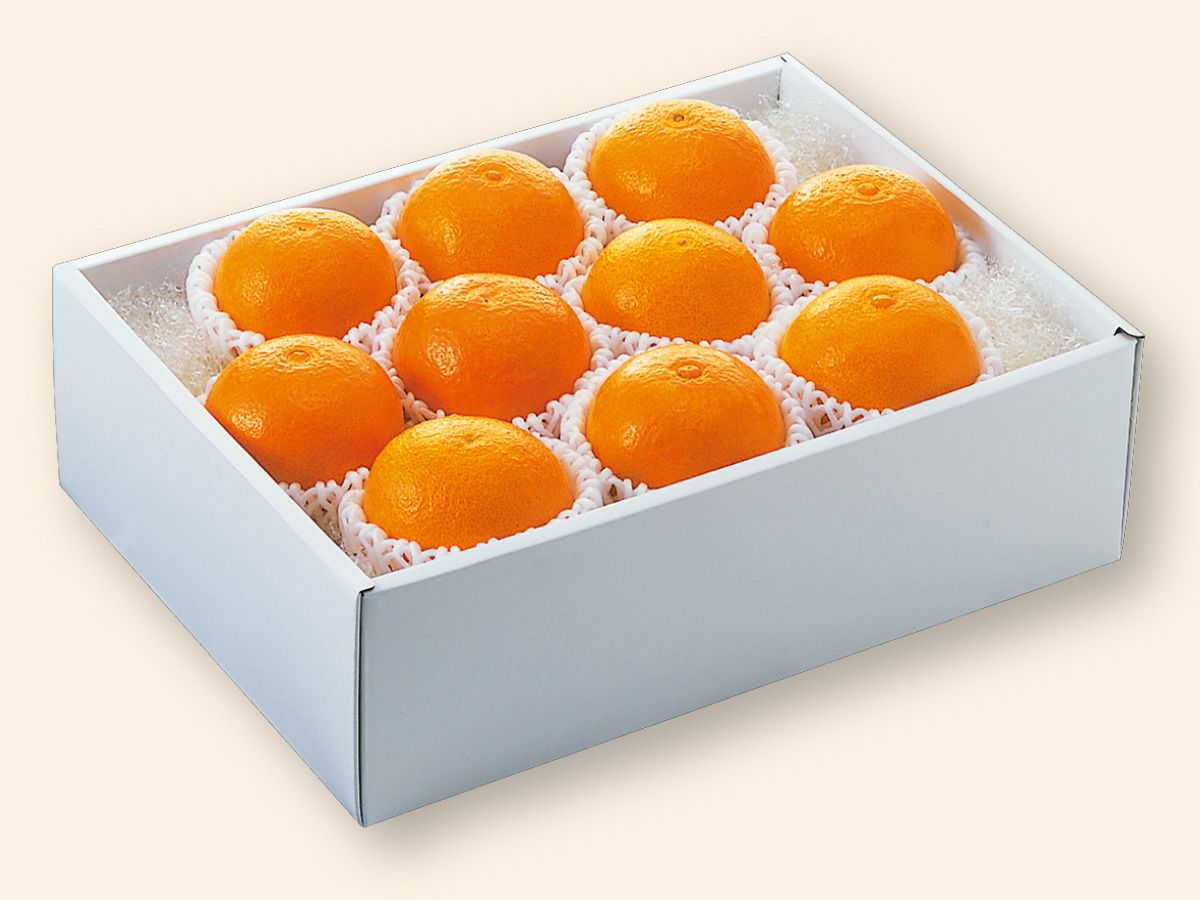 媛まどんな Bセット（8～12個前後）-贈答用 | のま果樹園