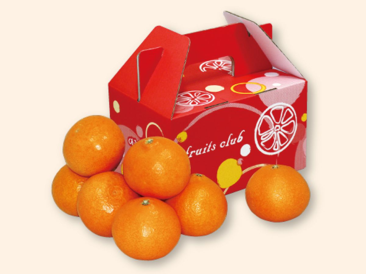 媛まどんな約2kg-家庭用 | のま果樹園