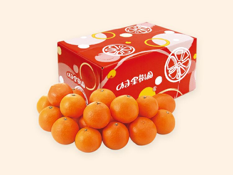 媛まどんな約3kg-家庭用 | のま果樹園