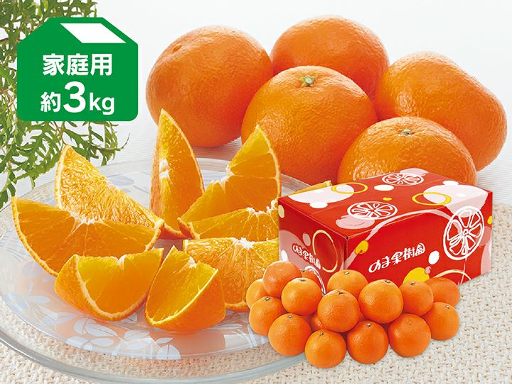 媛まどんな約3kg-家庭用 | のま果樹園