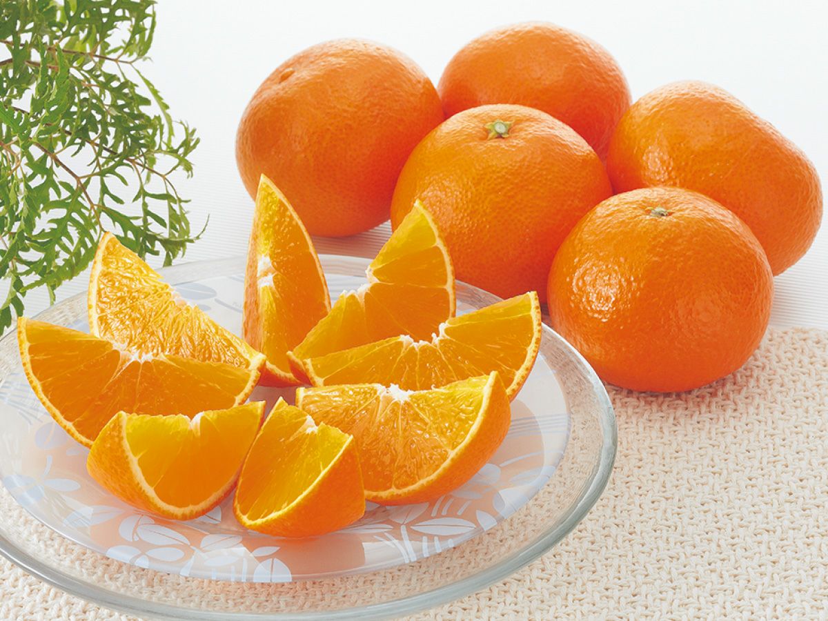 媛まどんな約5kg-家庭用 | のま果樹園