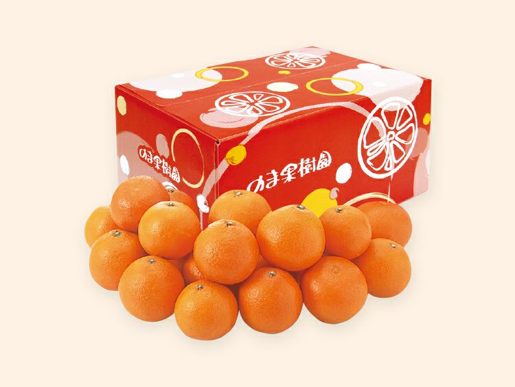 媛まどんな約5kg-家庭用 | のま果樹園