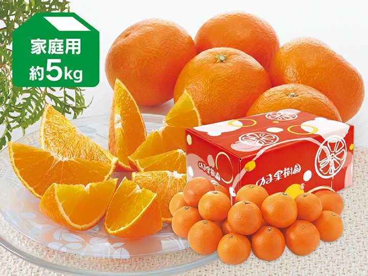 媛まどんな約5kg-家庭用 | のま果樹園