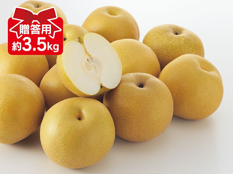 マロン　豊水梨 5kg・12~14個入】新潟県産 豊水梨|甘さと酸味の絶妙なバランスを産地