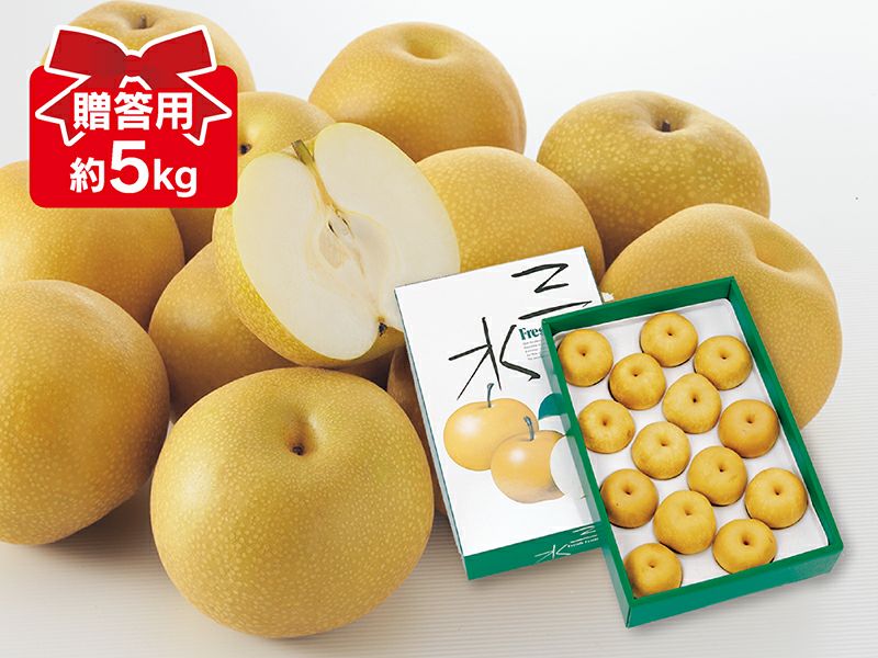 豊水梨 約5kg | のま果樹園
