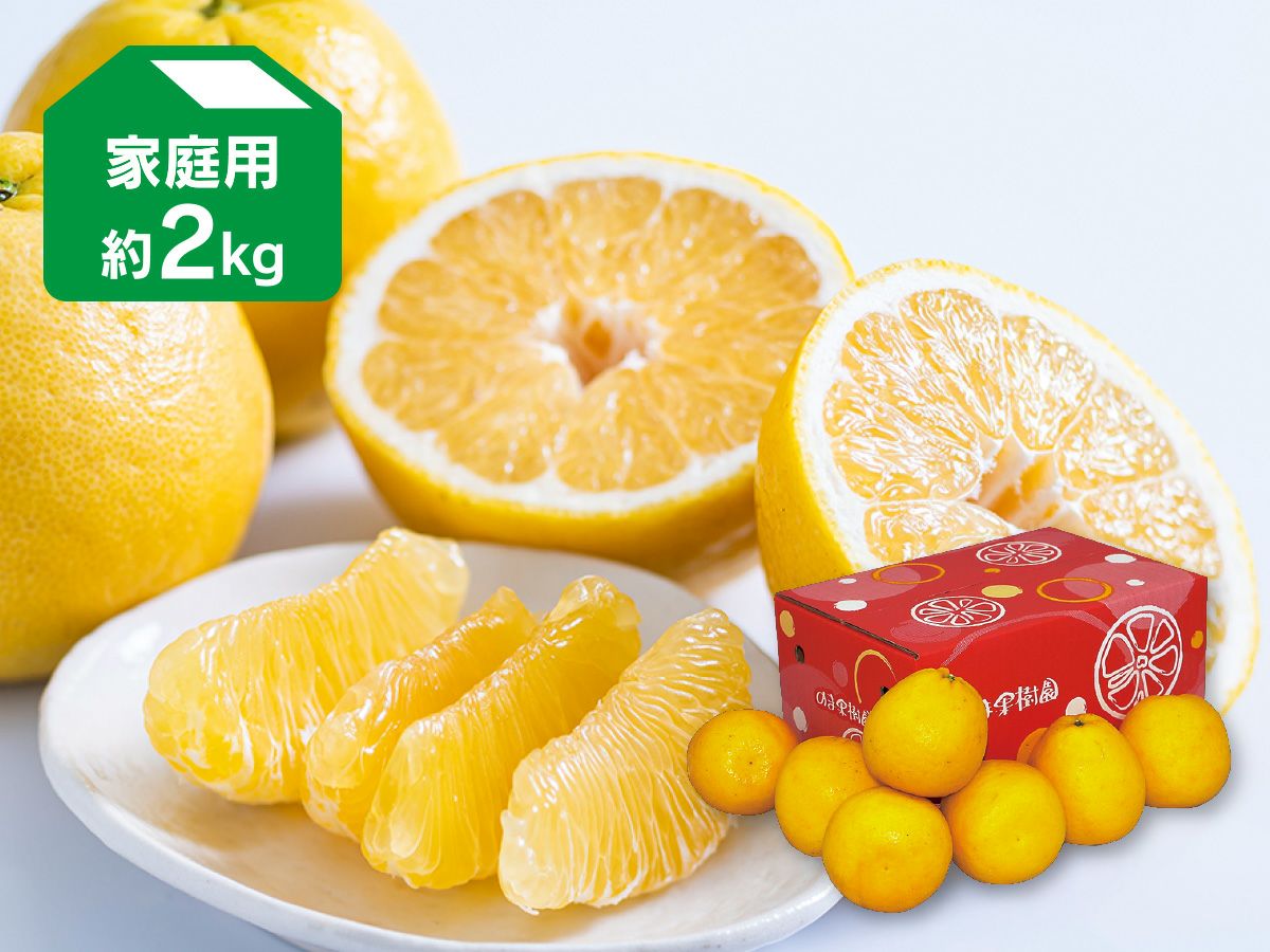 コタツでみかん「プチセット」 | のま果樹園