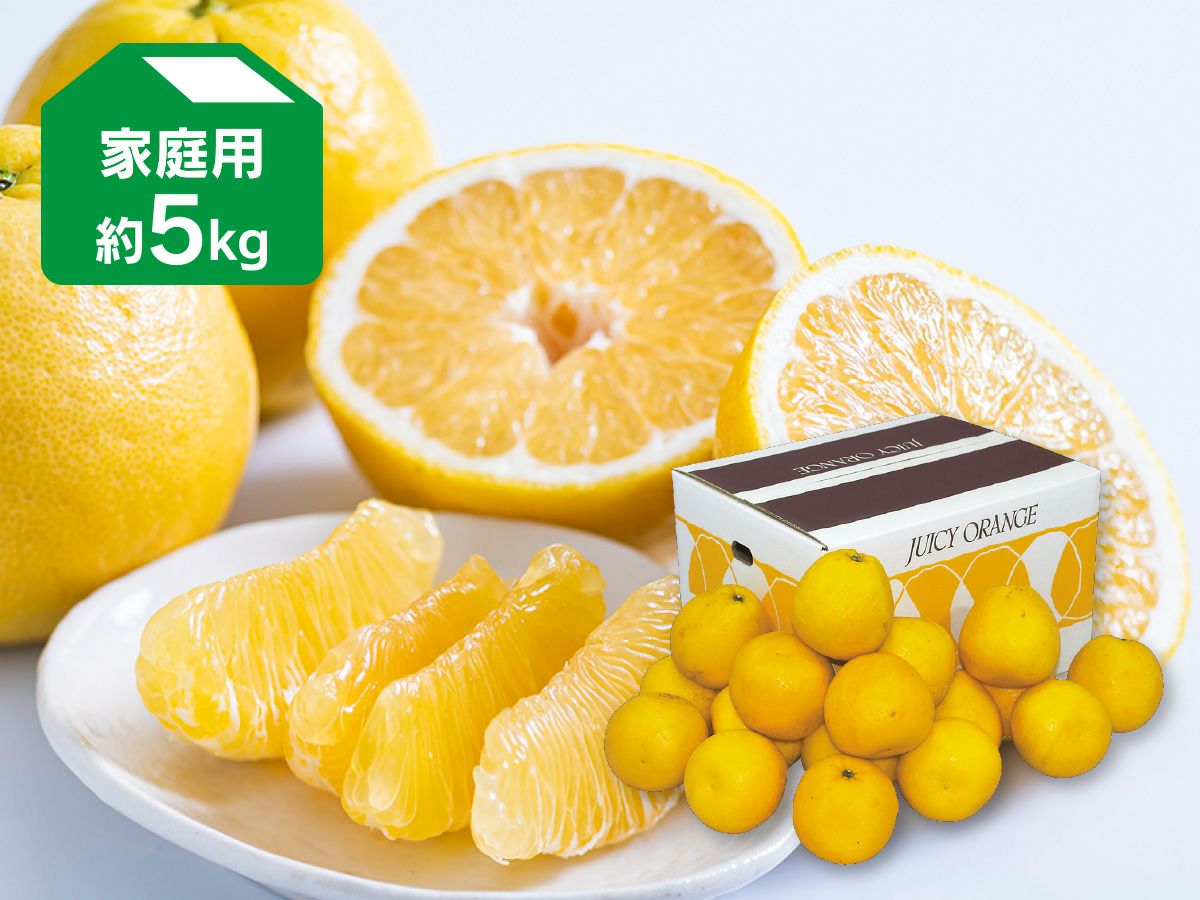 河内晩柑約3kg-家庭用(ジューシーオレンジ) | のま果樹園