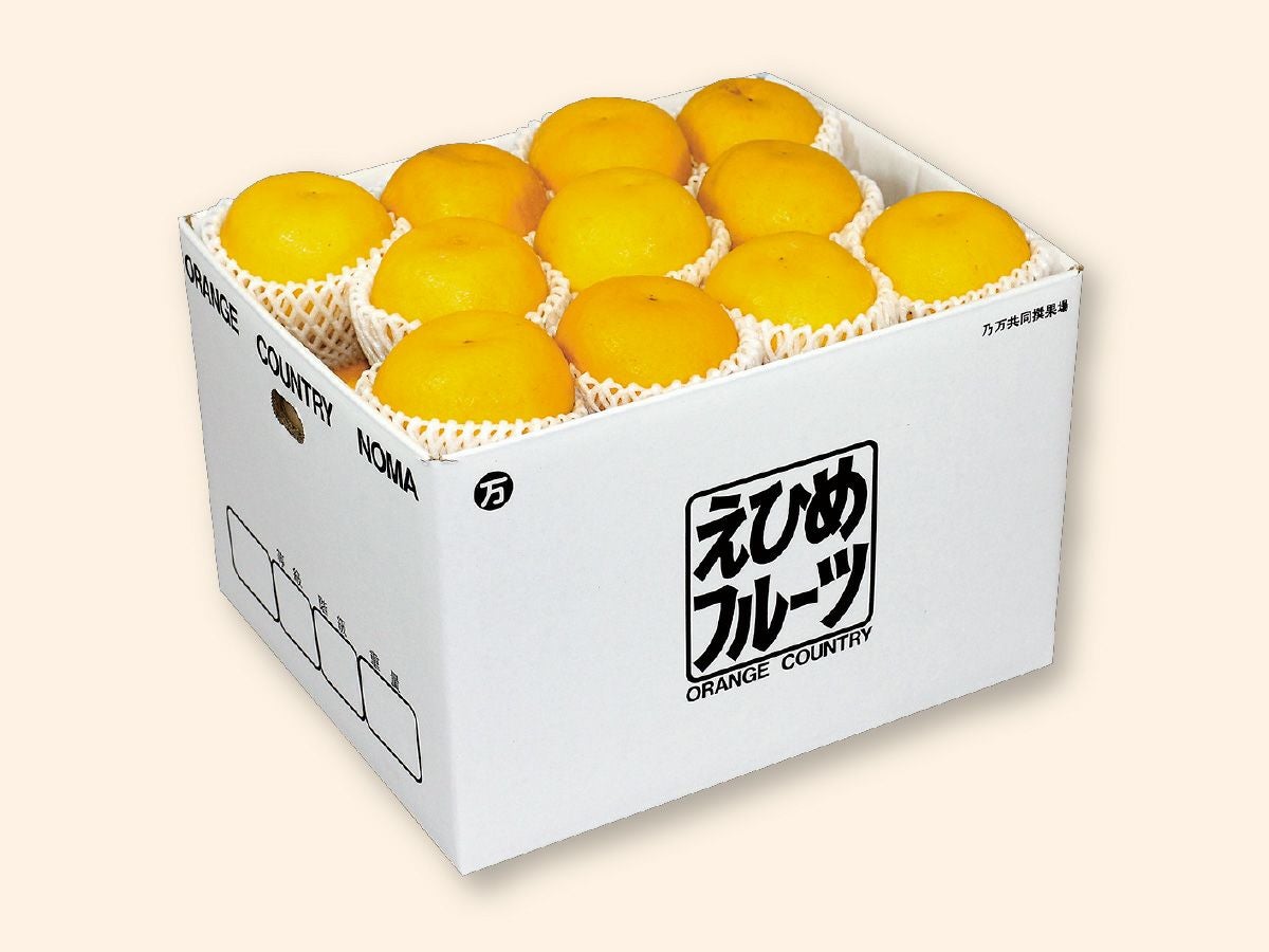 木成り河内晩柑約7kg-贈答用 | のま果樹園