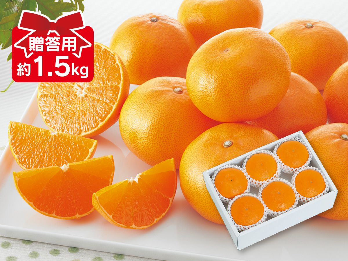 露地せとか約5kg-贈答用 | のま果樹園