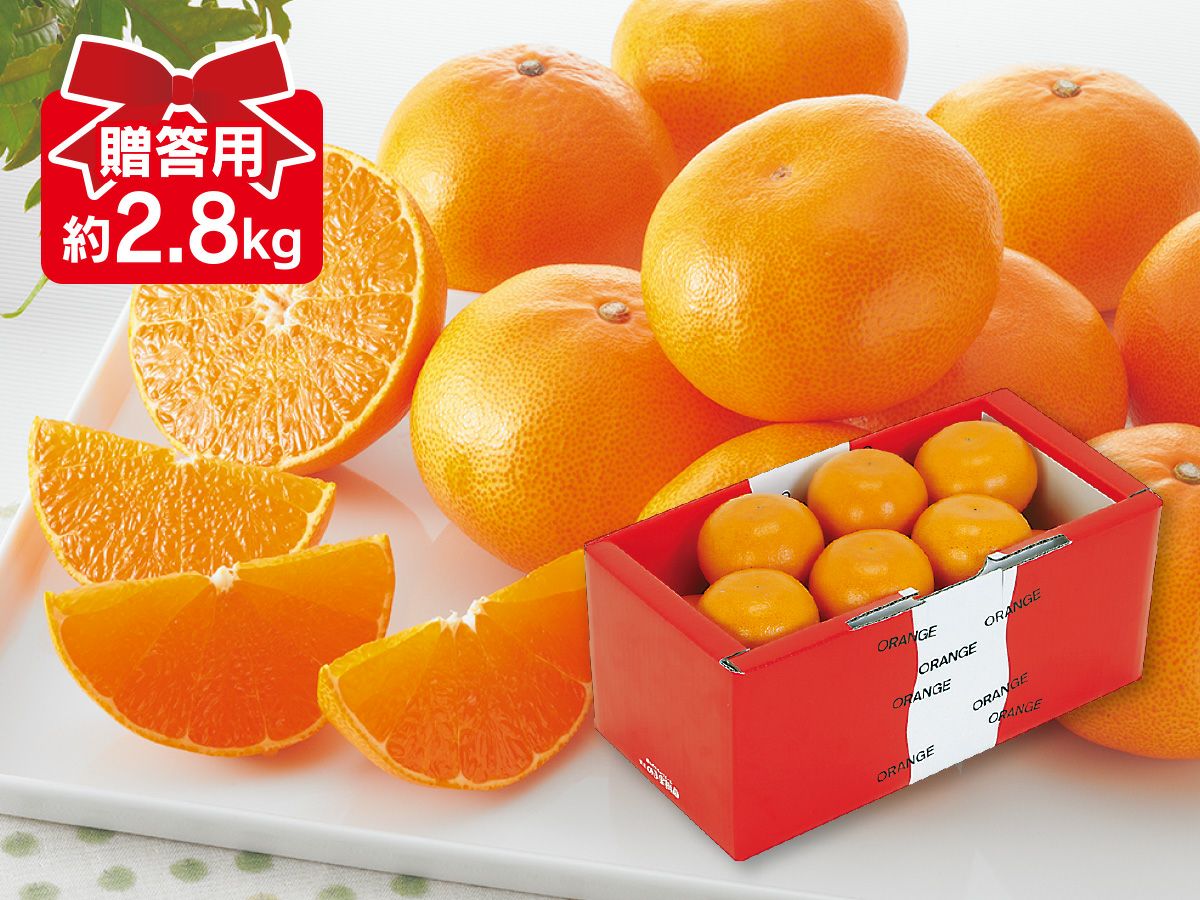 露地せとか約2.8kg-贈答用 | のま果樹園