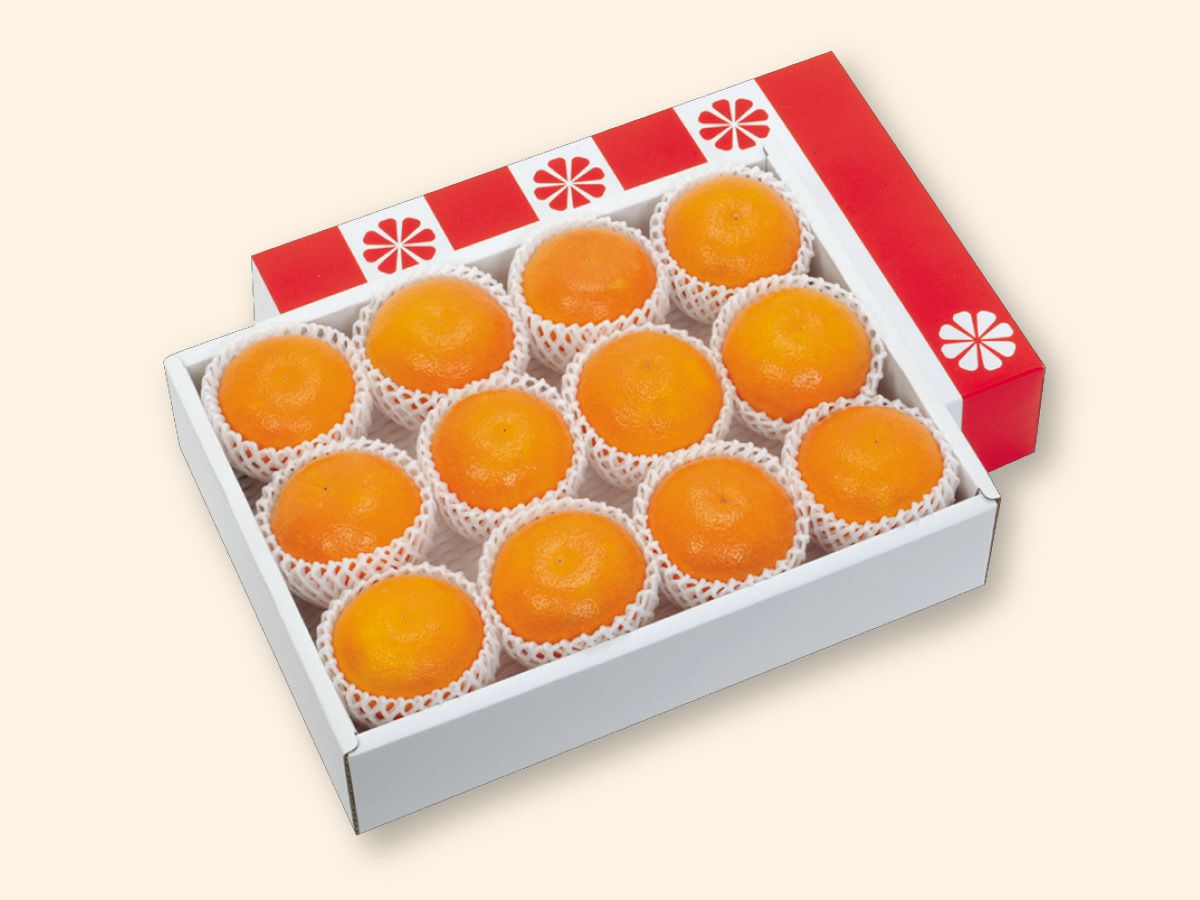 露地せとか約3.5kg-贈答用 | のま果樹園