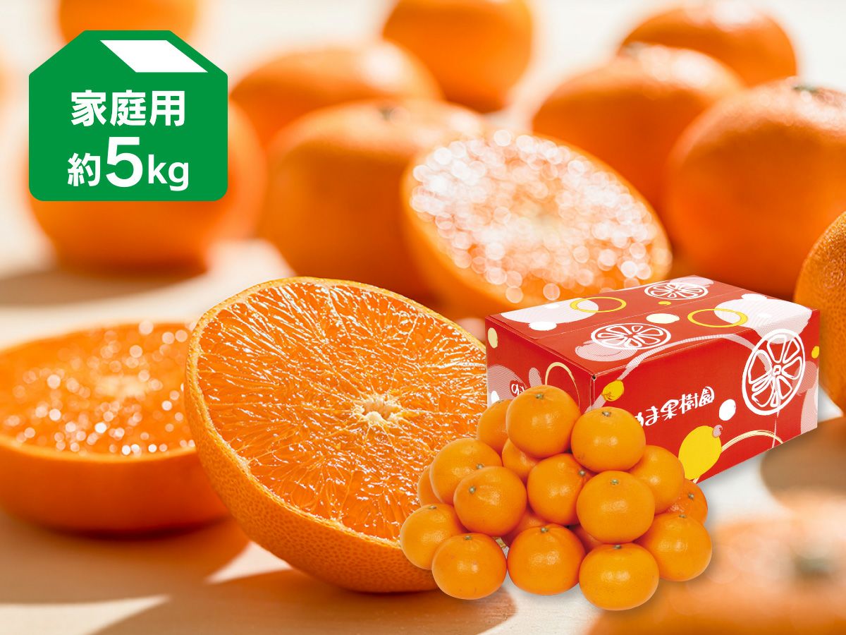 000000000636-04.jpg?size=m&w=