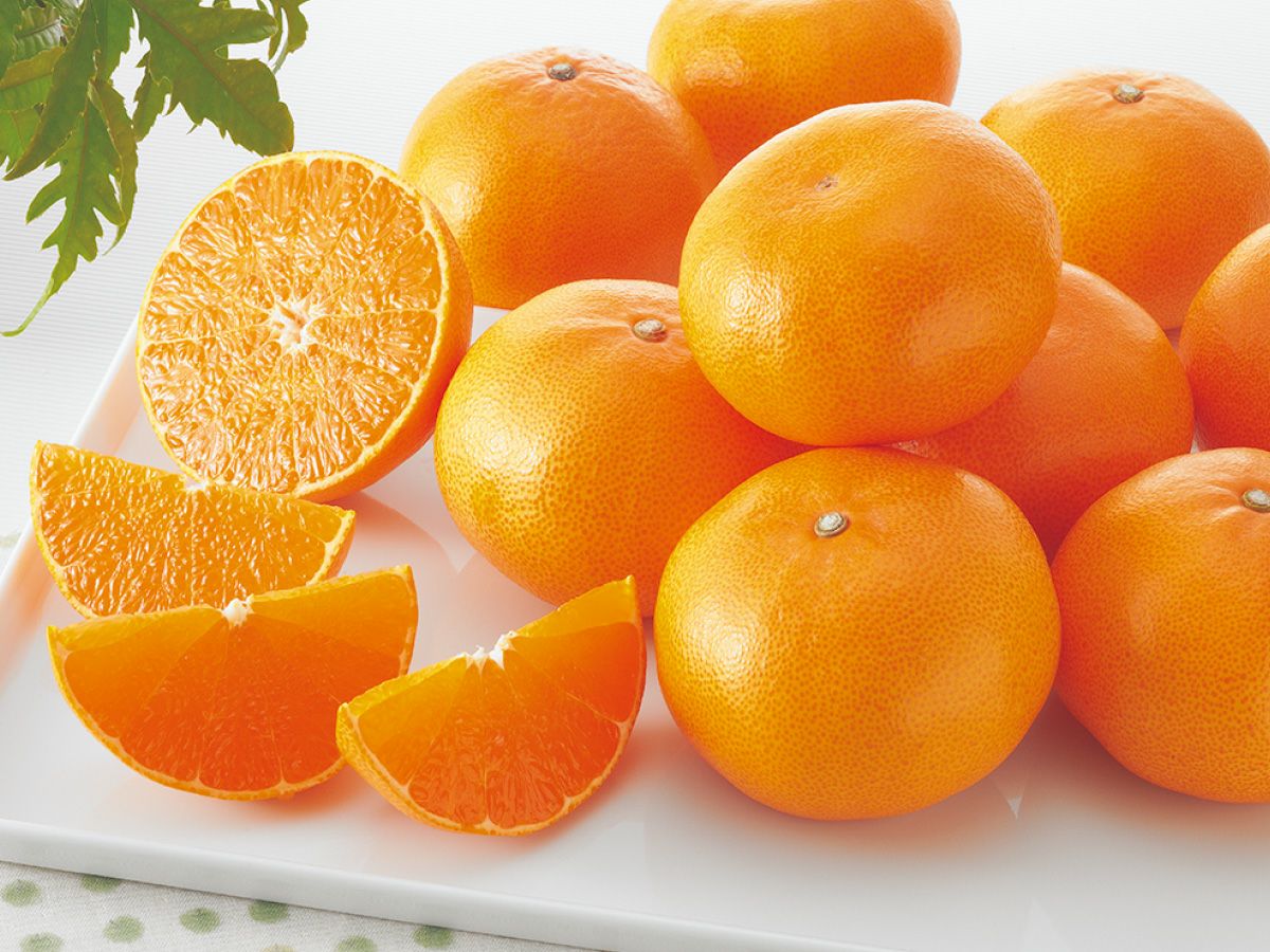 露地せとか約5kg-贈答用 | のま果樹園