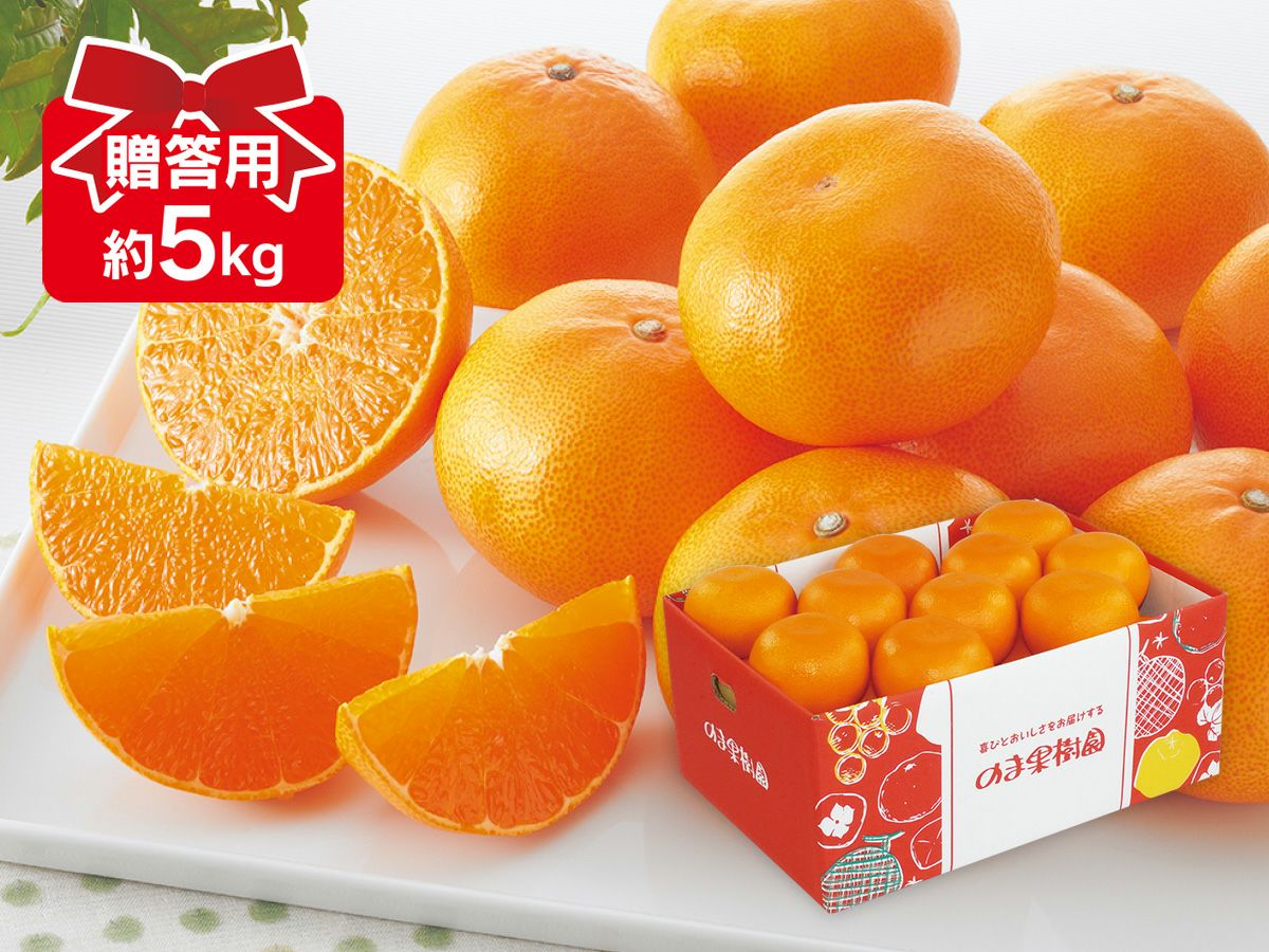 露地せとか約5kg-贈答用 | のま果樹園