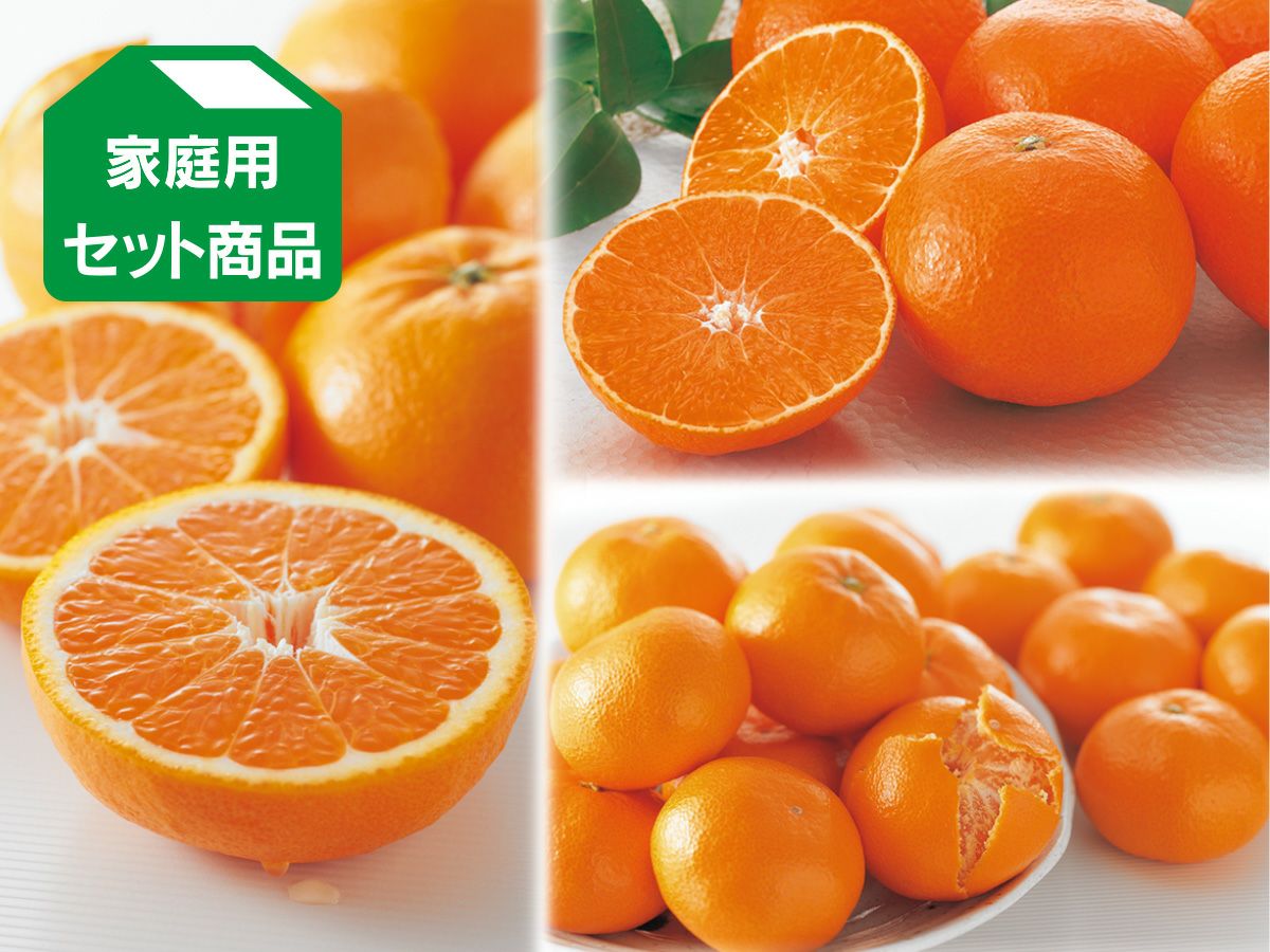 こたつみかん✩✩✩ コタツでみかん「プチセット」 | のま果樹園