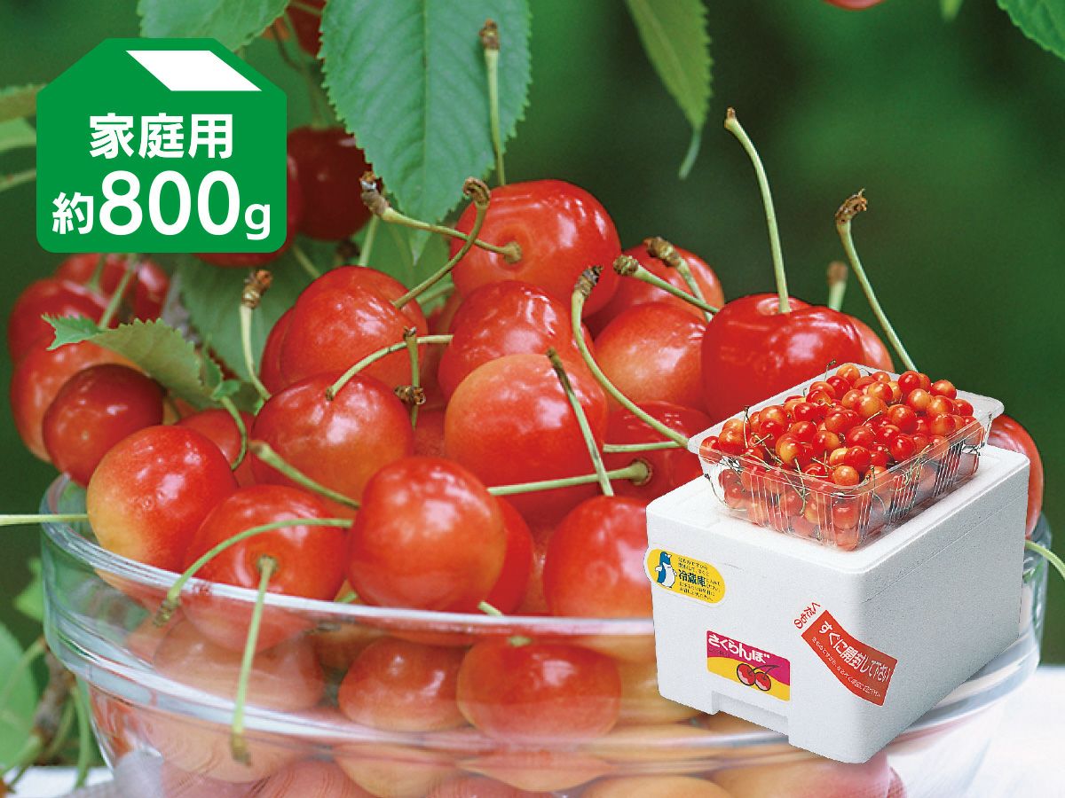 さくらんぼ800g-家庭用 | のま果樹園