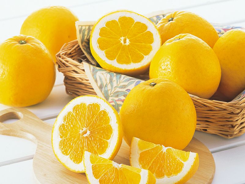 ワケあり木成り河内晩柑約7kg | のま果樹園