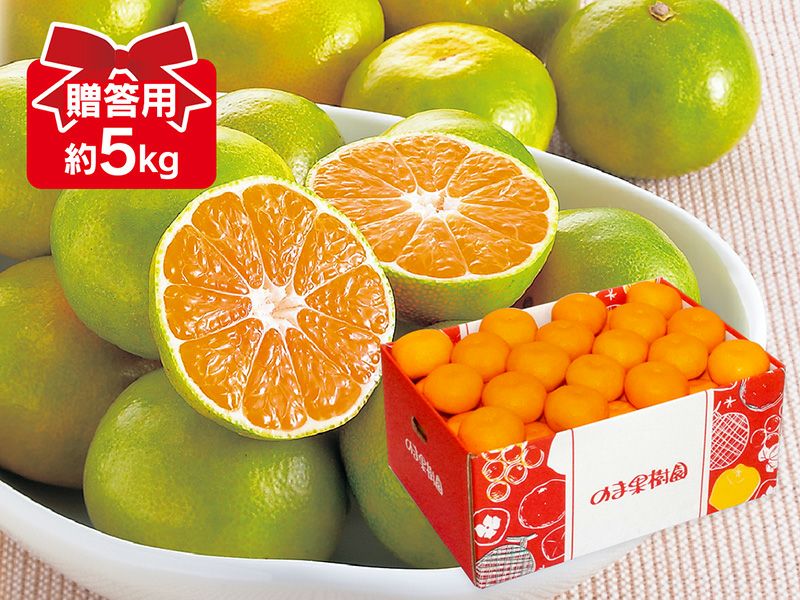 極早生みかん | のま果樹園