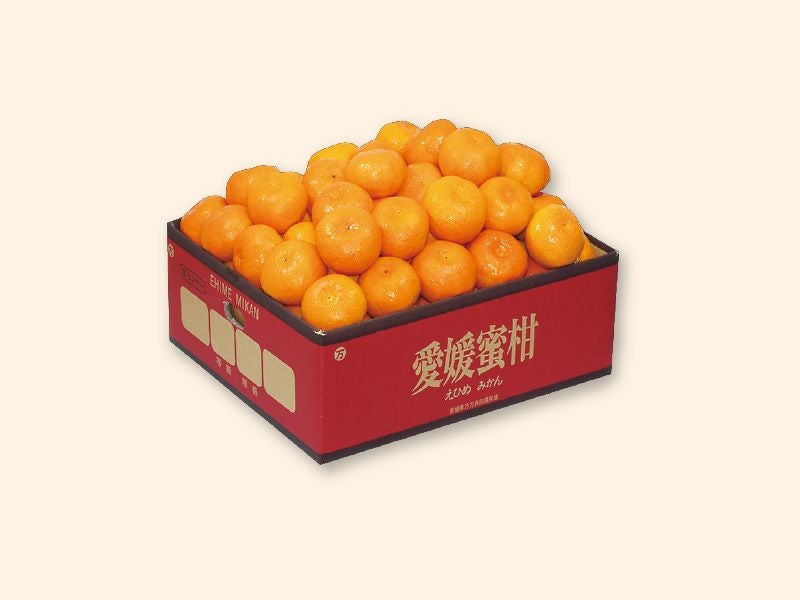 極早生みかん約5kg-家庭用 | のま果樹園