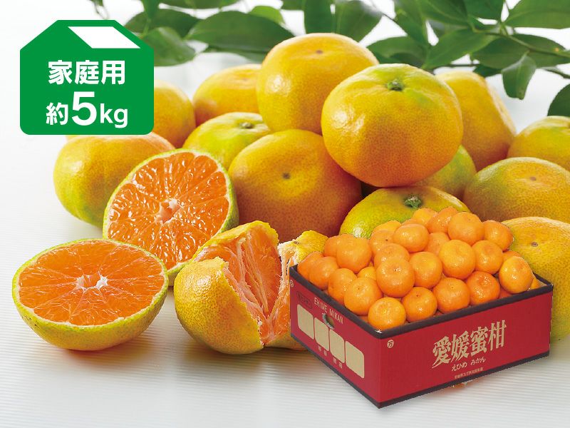 極早生みかん約5kg-家庭用 | のま果樹園