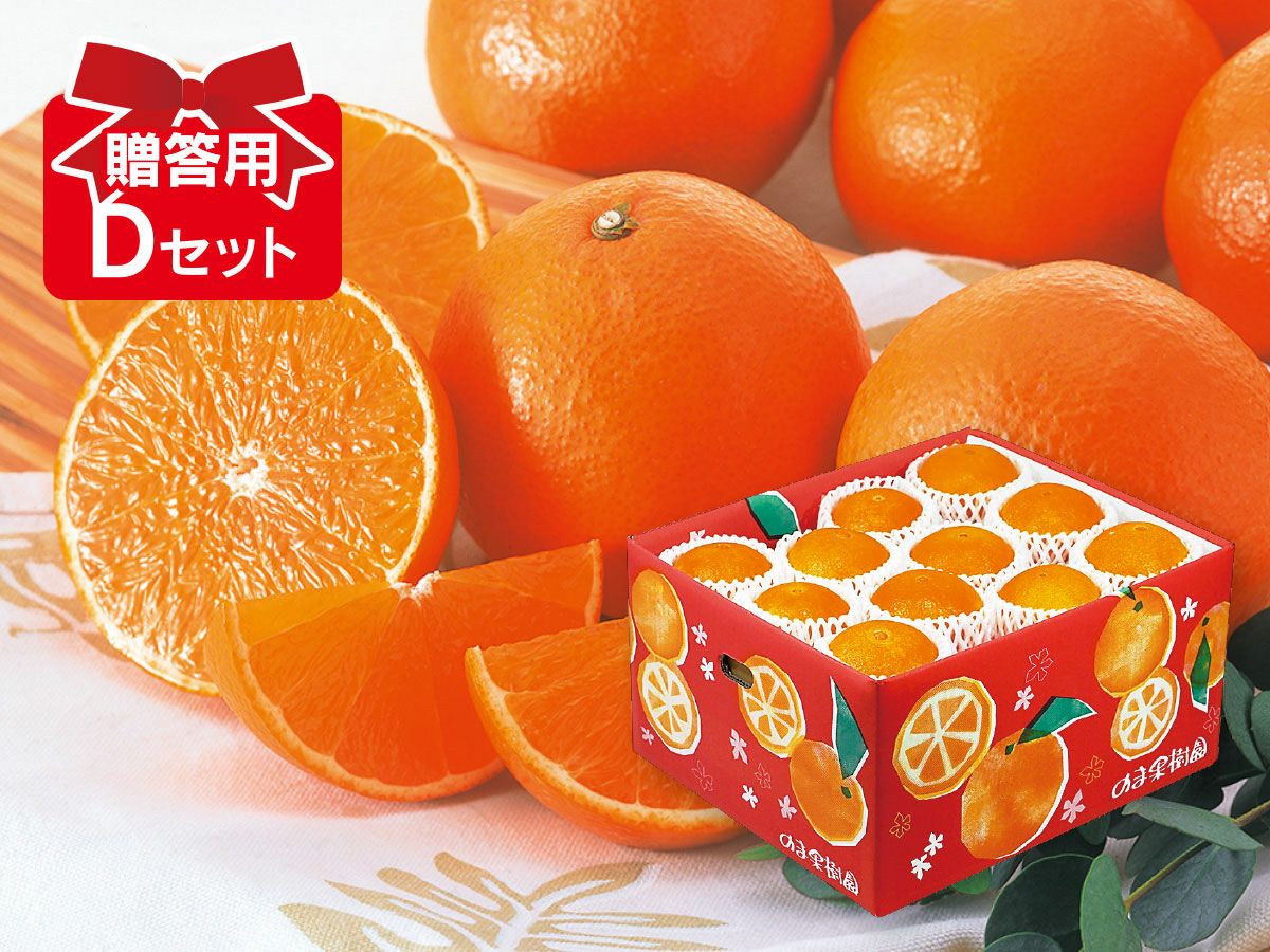 媛まどんな Dセット（18～25個前後）贈答用 | のま果樹園