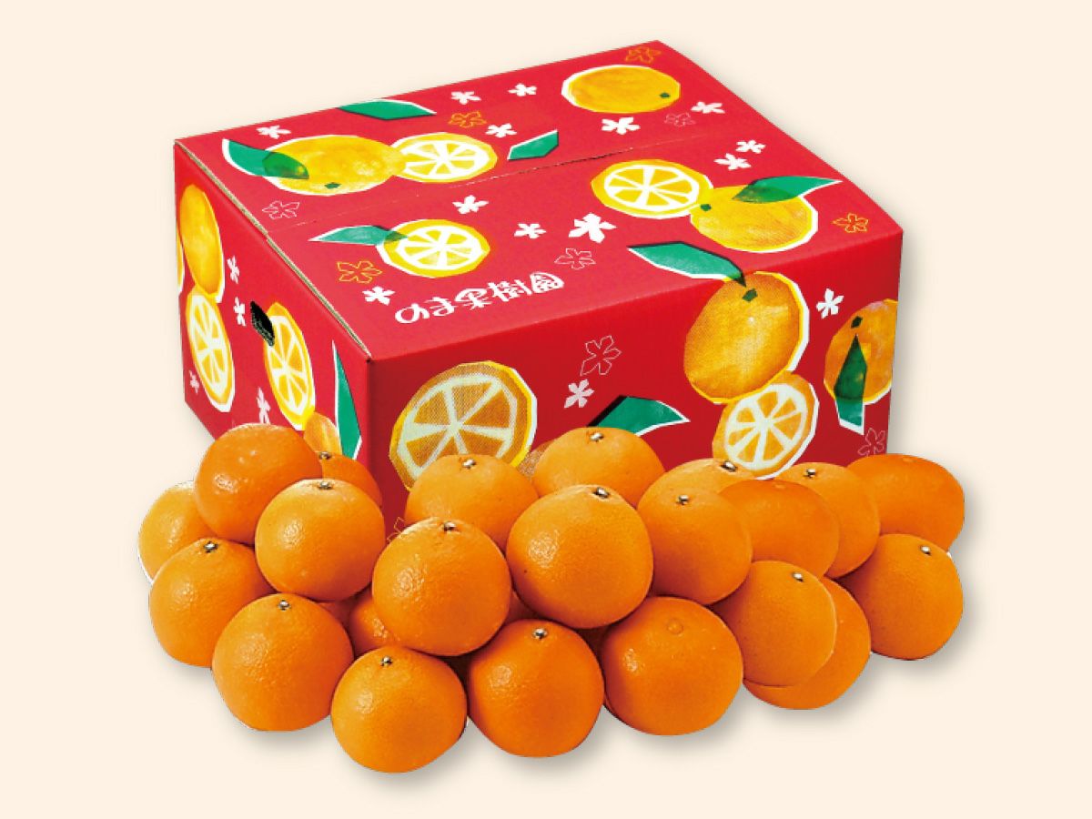 媛まどんな約7kg-家庭用 | のま果樹園